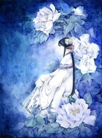 神奇宝贝之金钱至上