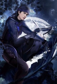 君临二次元